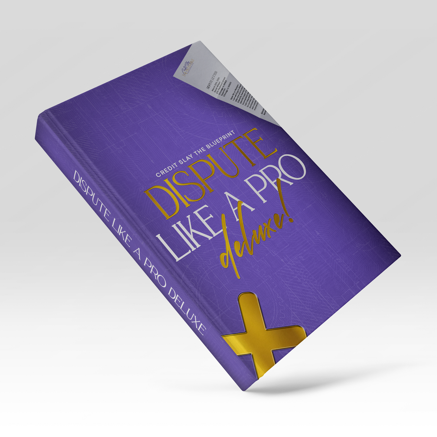 Dispute Like a Pro Deluxe E-book