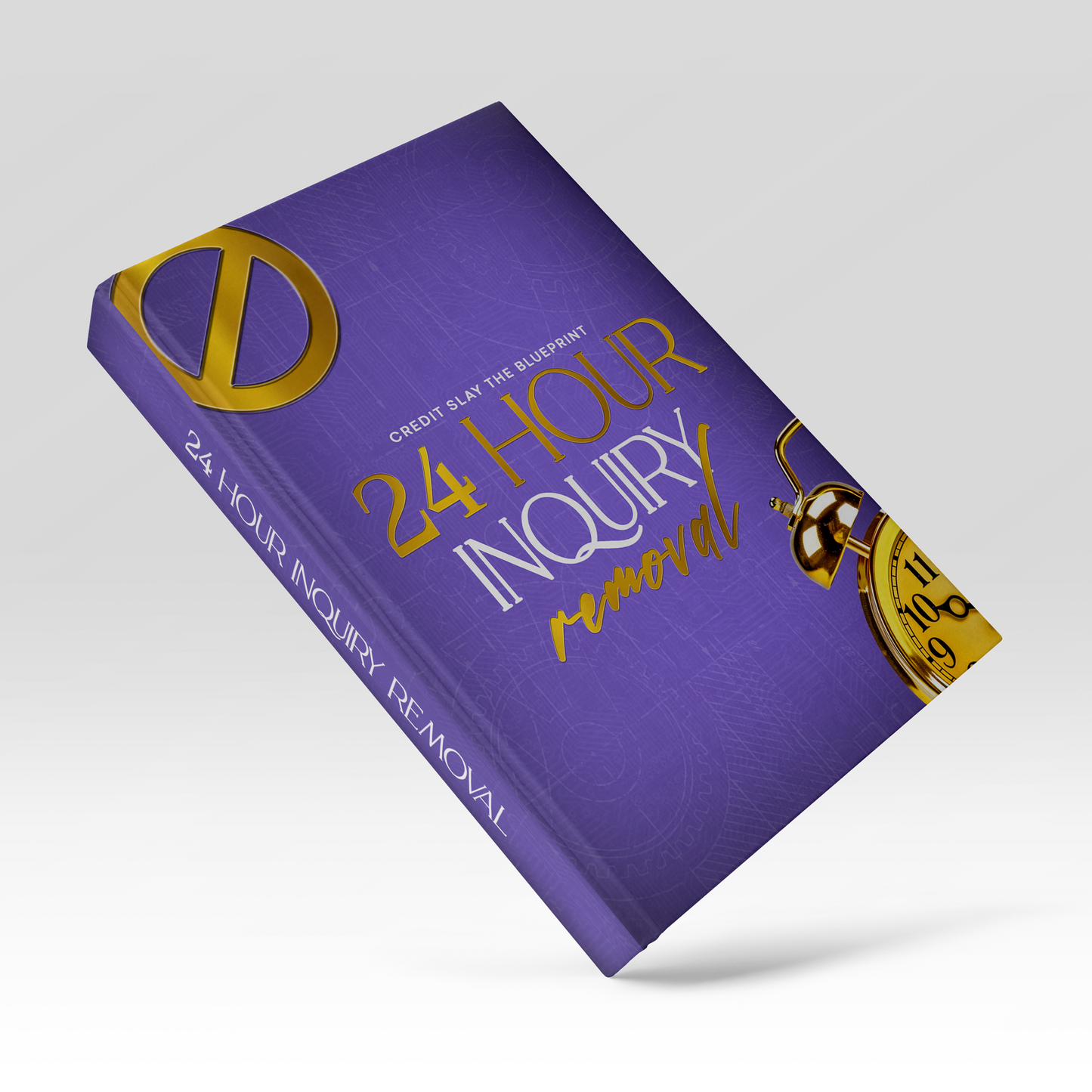 24 Hour Inquiry Removal E-book